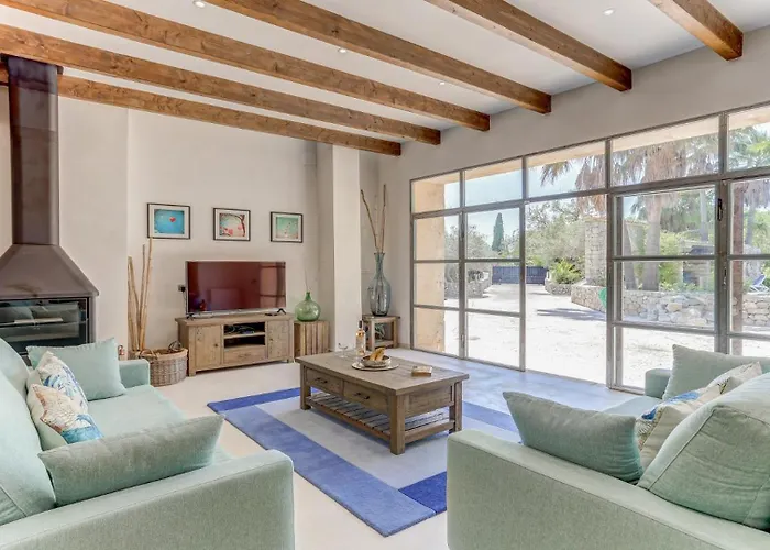 Palmeras Villa Pollenca