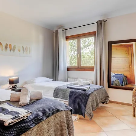 Palmeras Villa Crestatx