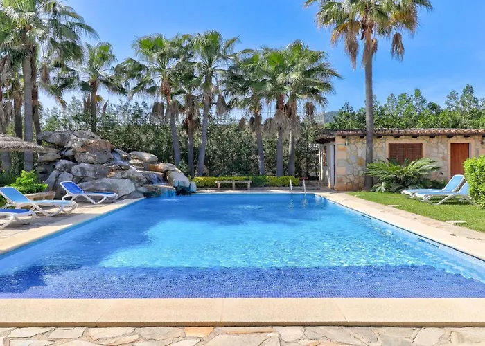 Palmeras * Pollença