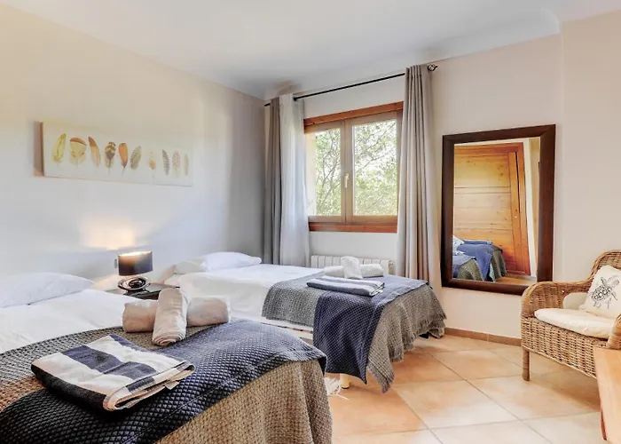 Palmeras Villa Pollensa